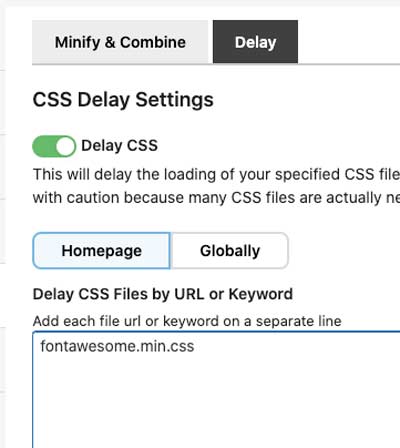 Elementor PageSpeed: Critical CSS nutzen 7